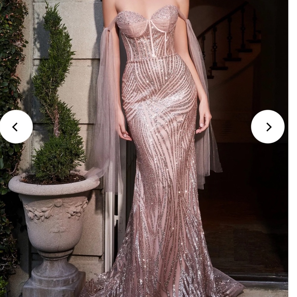 Cinderella Divine Rose Gold Dress